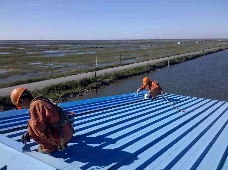 孝南钢结构屋面漏水原因